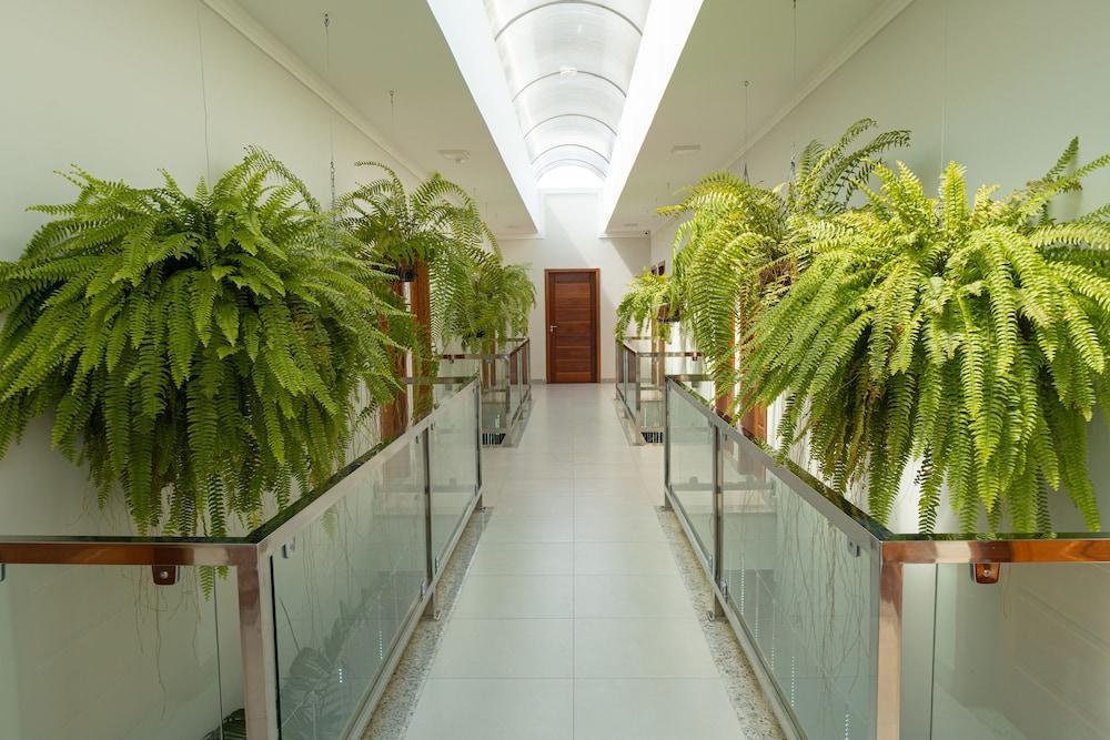 Orquideas Hotel 3*